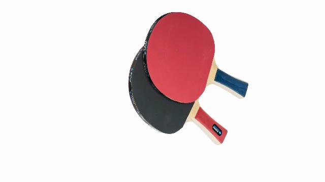 Custodia Per Racchette Da Ping Pong Donic-Schildkröt - Per 2 Racchette, Con Scomparto Accessori - Foto 10
