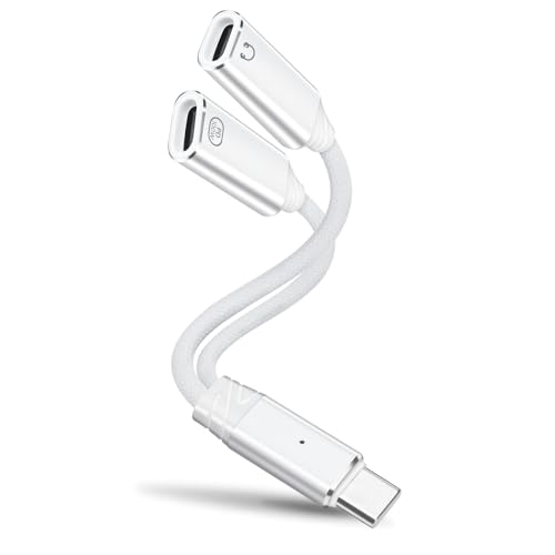 leizhan 2-in-1 USB-C wbhz/[dA_v^[AType-C 12o PD 100W }[d + I[fBI + USB 2.0 f[^]A[dȂ特y𒮂/t@C] - F