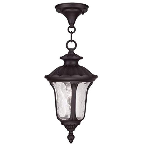 Crazy Clearance Livex Lighting 7849-07 Oxford 1-Light Outdoor Hanging Lantern, Bronze