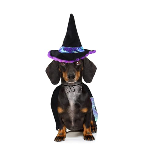 Disfraz de Mago para Perros Talla L Halloween