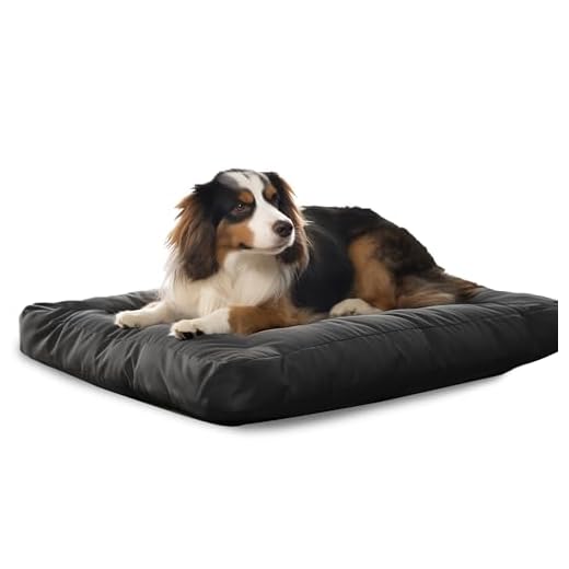 Flowen Cuscino Cane Taglia Media 75x50 Facile da Lavare con Federa Sfoderabile e Impermeabile Resistente a Morsi e Graffi Cuccia Cane e Gatto per Interno ed Esterno Perfetta Estate e Inverno Grigio