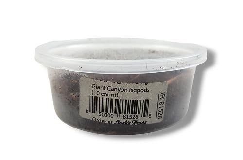 Josh's Frogs Porcellio dilatatus 'Giant Canyon' Isopods (10 Count)