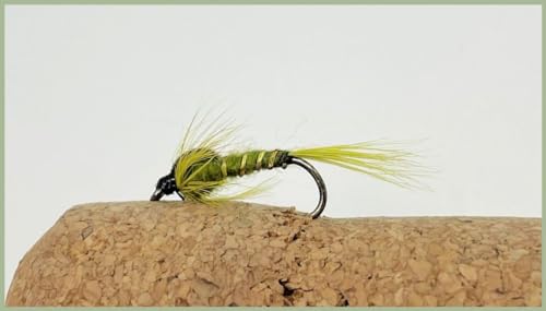 Barbless Olive Ribbed Nymphs, 6 pack Trout Flies, Choice of Sizes, Fishing Flies (12)