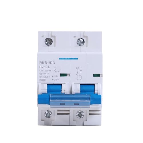 BYEFALAW 2P 80A-250A DC Circuit Breaker Solar Cell RV Yacht Scooter Battery Protection Switch 1Pcs(100A)
