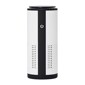 Amazon.co.jp: 空気清浄器・イオン発生器・脱臭器 - カー