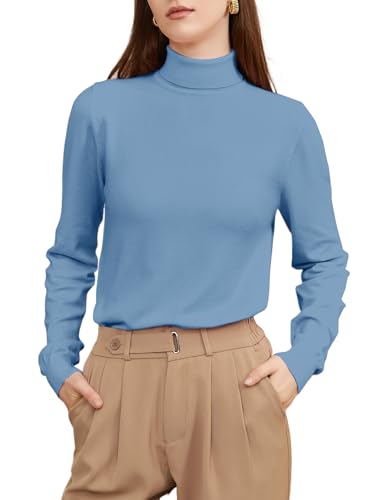 Image of DAIMIDY Turtleneck Sweaters for Women Long Sleeve Pullover Tops | Knitted Material| Soft, Warm and Breathable| High Resilience and Tensile Strength Design| Business Casual Tops| Dailywear