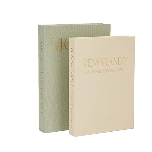 イミテーションブック カラー 本 模型 フェイクブック インテリア 収納ボックス辞典 リビング収納 2冊セット(28×20×4cm/25×18×3cm)