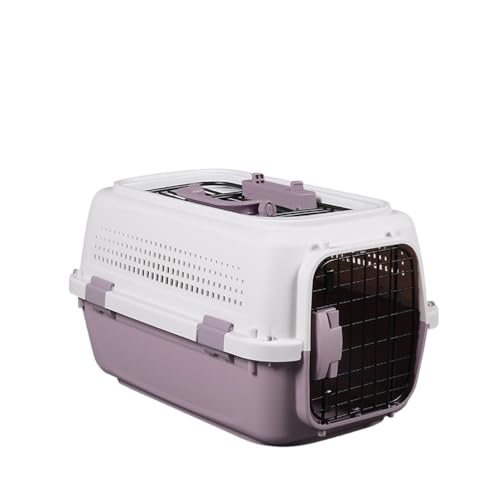 Sailozai ybg Vt {GC ۍq ֌g ԍڃP[W s@a  Lqp{bNX (T[t^Cvyp[vz,卆+Au+q|)