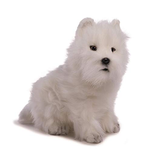 nT(HANSA) EFXgnCheA No.4127