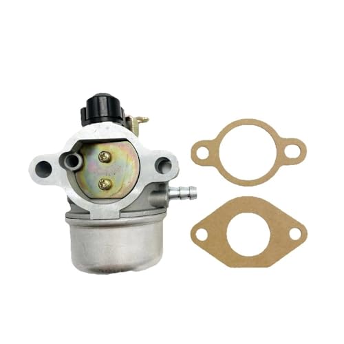 Carburateur pour 1285320-S avec régulation thermique stable