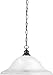 Sea Gull Lighting Windgate 65940EN Pendant Light