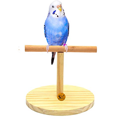 Sage Square Natural Wooden Bird Playful Climbing Table Stand for Cage Accessory Perch Bird Toy for Budgies, Cockatiel, Parrot, Conure, Java, Finch, Canary and Other Small Birds (B087CPJNM6) Amazon Price History, Amazon Price Tracker