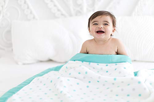 Image of SwaddleDesigns Stroller Blanket, Cozy Plush Baby /Toddler Blanket, 30x40 inches, SeaCrystal & Sterling Dots with Satin Trim
