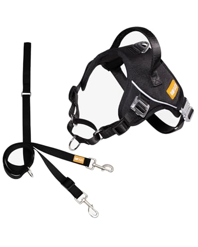 DF No Pull Martingale pn[lXƃ[VZbg TCg^obNAtgNbv˃n[lXA߉\ȃtBbg&nhŃEH[LO&g[jOȒPAA3/4C`Atg`FXg30.04cm-13C`