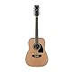 Ibanez PF1512-NT Natural 12-String