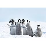 ORIGINE FRANCE GARANTIE : Ce tableau sur toile de haute qualité est certifié Origine France Garantie. Nous fabriquons l'ensemble de nos tableaux muraux dans notre usine près de Lyon.