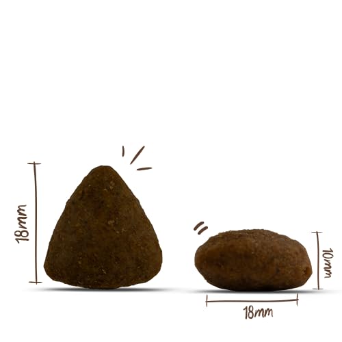 Bosch HPC MENUE Adult mit Nordsee-Lachs & Forelle getreidefrei| Hundetrockenfutter für ausgewachsene Hunde Aller Rassen | 1 x 1 kg