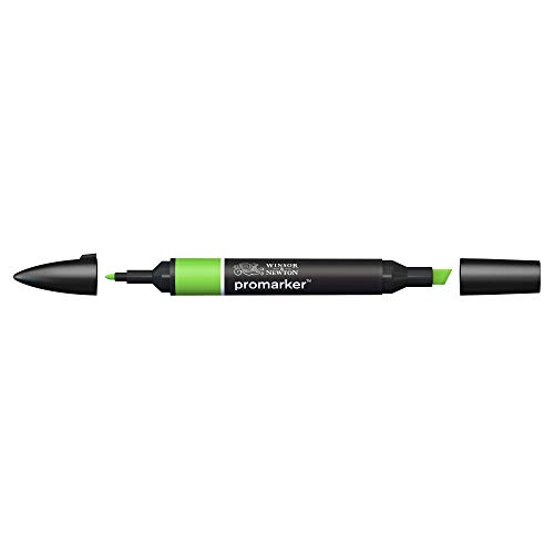 Image of Winsor & Newton Promarker, Alcohol Based Markers, Bright Green (G267), Double Tipped Drawing Marker for Artists, Graphic Designers, Illustrators - Chisel & Fine Twin Tip, Streak Free Coverage