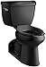 Kohler K-3578-7, Black Black