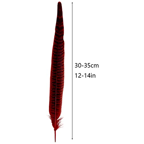 10Pcs Pheasant Feathers 12-14" Pheasant Tail Feather For Festival Party Decorations Crafts Costume Hats Decor (Male Pheasant) (Red) #TOP1
