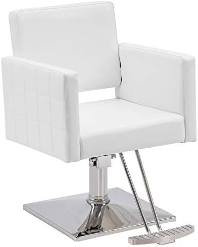BarberPub Classic Styling Salon Chair for Hair Stylist Hydraulic Barber Chair Beauty Spa Equipment 8821 (Pure White)