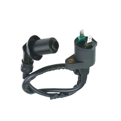 Bobina de encendido para scooter GY6 y motores de moto de cross TRX300 de 50cc a 150cc