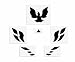 Front License Plate Overlay Decal - 98-02 Pontiac Firebird - (Color Gloss Black)