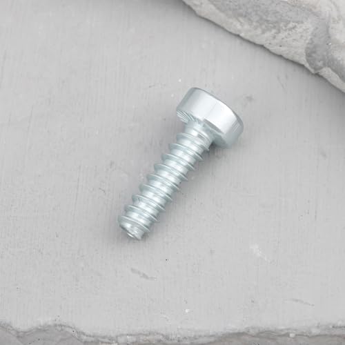 Pack de 10 tornillos autorroscantes M5.3x18 mm cabeza pan miniatura 6