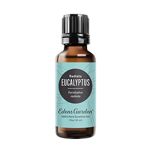 Edens Garden Eucalyptus- Radiata Essential Oil- 100% Pure Premium Grade,