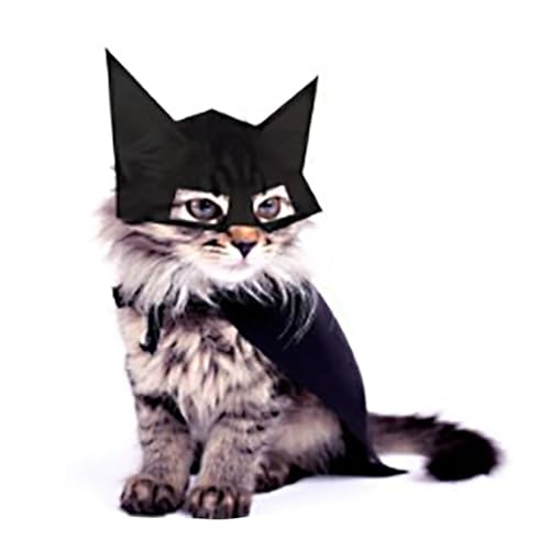 Boné de gato ajustável com desenho divertido para animais de estimação, acessório de fantasia de mor