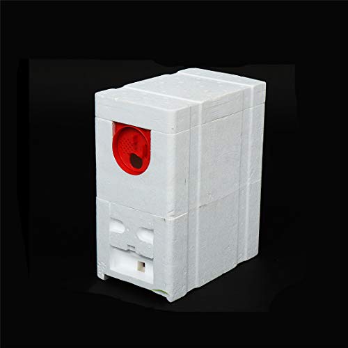 CFJJOAT Bee breeding mating terrarium Double foam beehive nest Bee box Bee queen cultivating honey collection box DIY breeding beehive