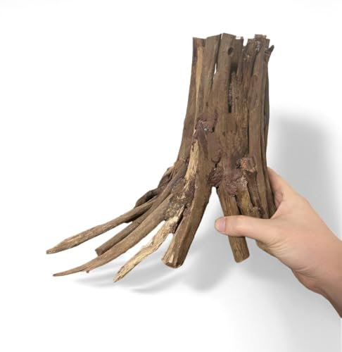 AWXZOM 10inch Aquarium Tree Stump Handcrafted 10inch Height Driftwood Bonsai
