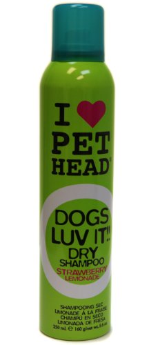Company of Animals PET Head Dogs Luv It Dry Bath Supply Shampoo, 5.6 oz