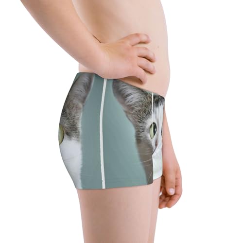 Boys' Cotton Boxer Brief Soft Underwear-Funny Cat2