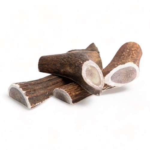 Dilecti Corno di Cervo per Cani - Osso di Cervo da Masticare, Snack Naturale e Gioco Masticativo di Lunga Durata per l'Igiene Dentale del Cane - spaccate L (3 Pezzi)