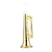 STOBOK 14Pcs Plastica Tromba Golden Kids Bambini Tromba Giocattoli Musical Sounding Toys Match Games Coloring Performance Puntelli Festa di Compleanno Favori per Bambini per Bambini Uso