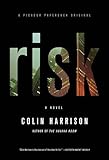 Risk: A Novel