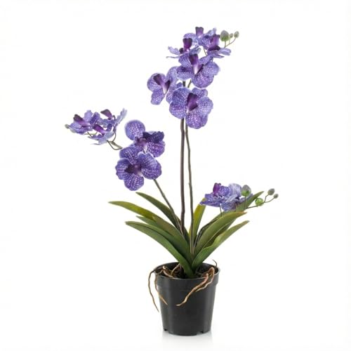 Orchidée Vanda - Plante artificielle - Environ 60 cm - Violet - Orchidée artificielle en pot - Plante décorative sans entretien pour salon, bureau et...