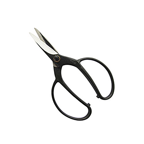 y|z A No.2025 nTCY 75 mm | lW K[fjO _ ɂȂވi A؉ gn OyD