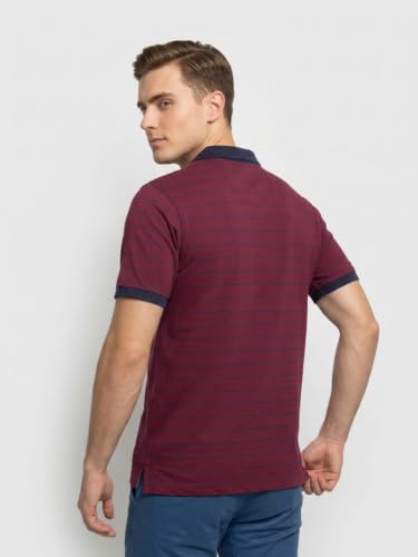 Image of Park Avenue Men Slim Fit Stripe Pattern Pure Cotton Polo Neck Half Sleeve Casual T-Shirt