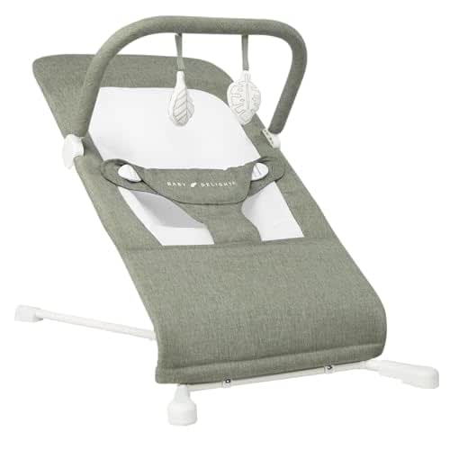 Baby Delight Highland Baby Bouncer | Infant | 0 –