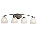 Caleigh 4 Light Vanity Light Finish: Olde Bronze