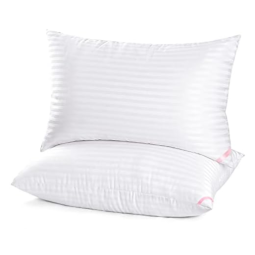 EIUE Hotel Collection Bed Pillows for Sleeping 2 Pack Queen Size，Pillows for Side and Back Sleepers,Super Soft Down Alternative Microfiber Filled Pillows,20 x 30 Inches