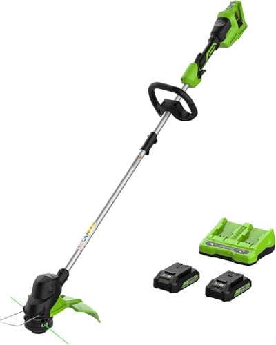 Greenworks 48V (24V x 2) 15' String Trimmer, (2) 2Ah Batteries and 4A Dual Port Charger Included