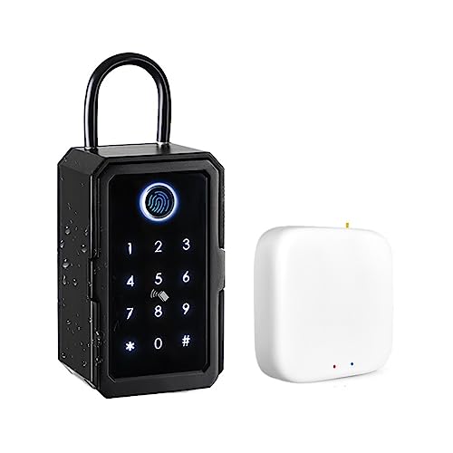 Coffre-fort Coffre-fort à clés Tuya Ttlock empreinte digitale Bluetooth Wifi boîte à clés numérique App accès à distance montage mural combinaison sécurité Lockbox pour la Maison Cash Bijoux ( Color :