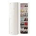 SuDeLLong Carrusel de Zapatero Gabinete de Zapatos Giratorio Simple Moderno Hall Gabinete Moderno Moderno Multifuncional Gabinete (Color : White5, Size : 105x32cm)