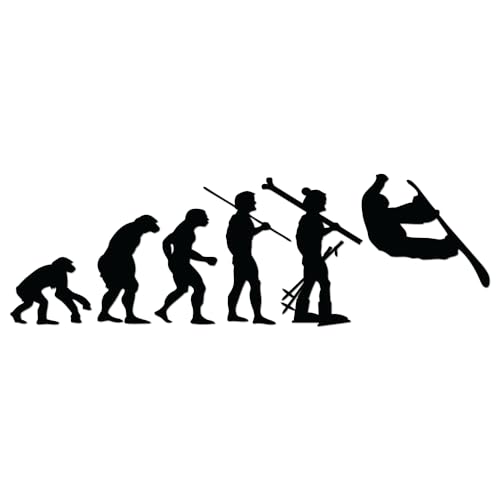 Evolution of Snowboarding Snowboard Snow Mountain Ape Human Transformation Vinyl