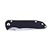 Ganzo Firebird G714 Pocket Folding Knife G-10 Handle SS Blade Hunting Fishing Outdoor EDC Knife (Black)
