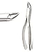 PRECISE CANADA: New German Grade Dental Tooth EXTRACTING Extraction Forceps # 150S with Serrated JAW New