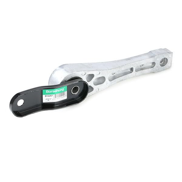 Borsehung Bearing Engine B12267 : Amazon.de: Automotive